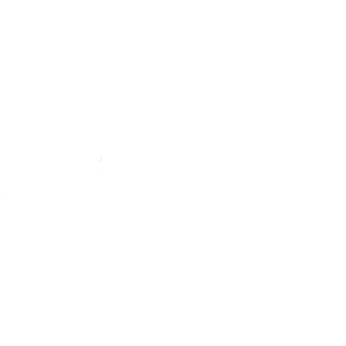 Portfolio Logo